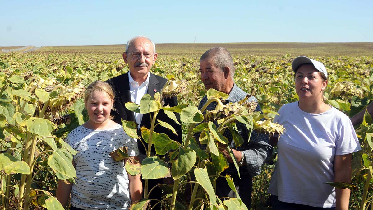 CHP Genel Başkanı Kemal Kılıçdaroğlu, Edirne'de ayçiçeği tarlasında çiftçilerle bir araya geldi. Kılıçdaroğlu, "Ayçiçeği taban fiyatı ton başına 16 bin lira olmalı" dedi.