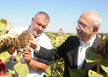 Ayçiçeği taban fiyatı ton başına 16 bin lira olmalı