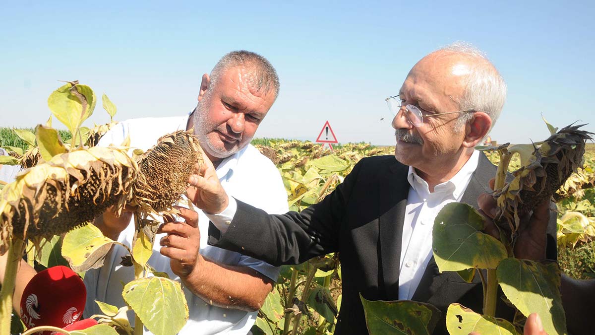 Ayçiçeği taban fiyatı ton başına 16 bin lira olmalı