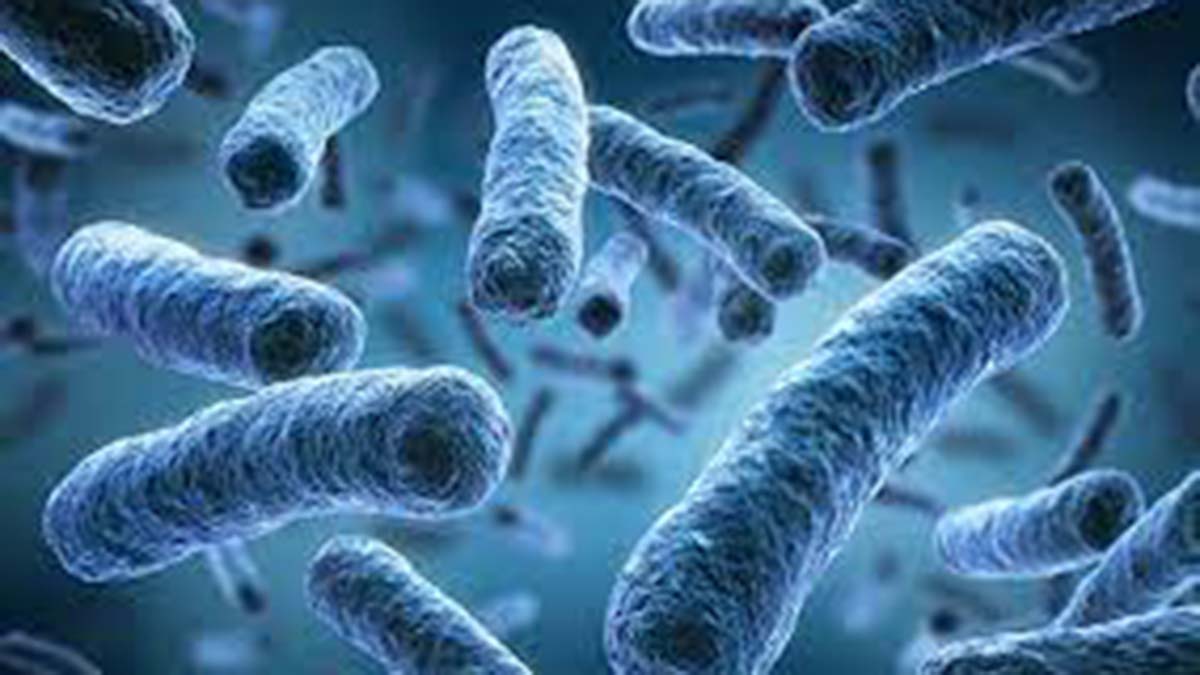 Lejyoner hastalığına dikkat