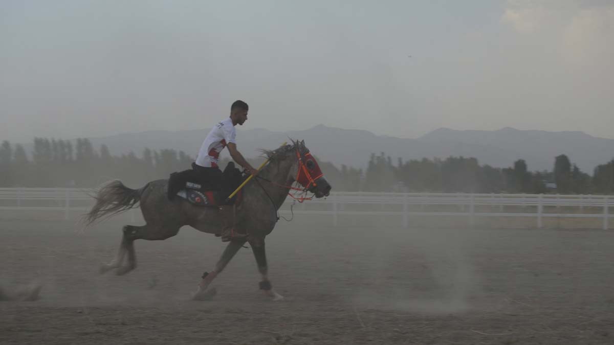 Malazgirt Zaferi'nin 951'inci yıl dönümü kutlamaları Muş’un Malazgirt ilçesindeki ‘Malazgirt Meydan Muharebesi Tarihi Milli Park’ alanında başladı.