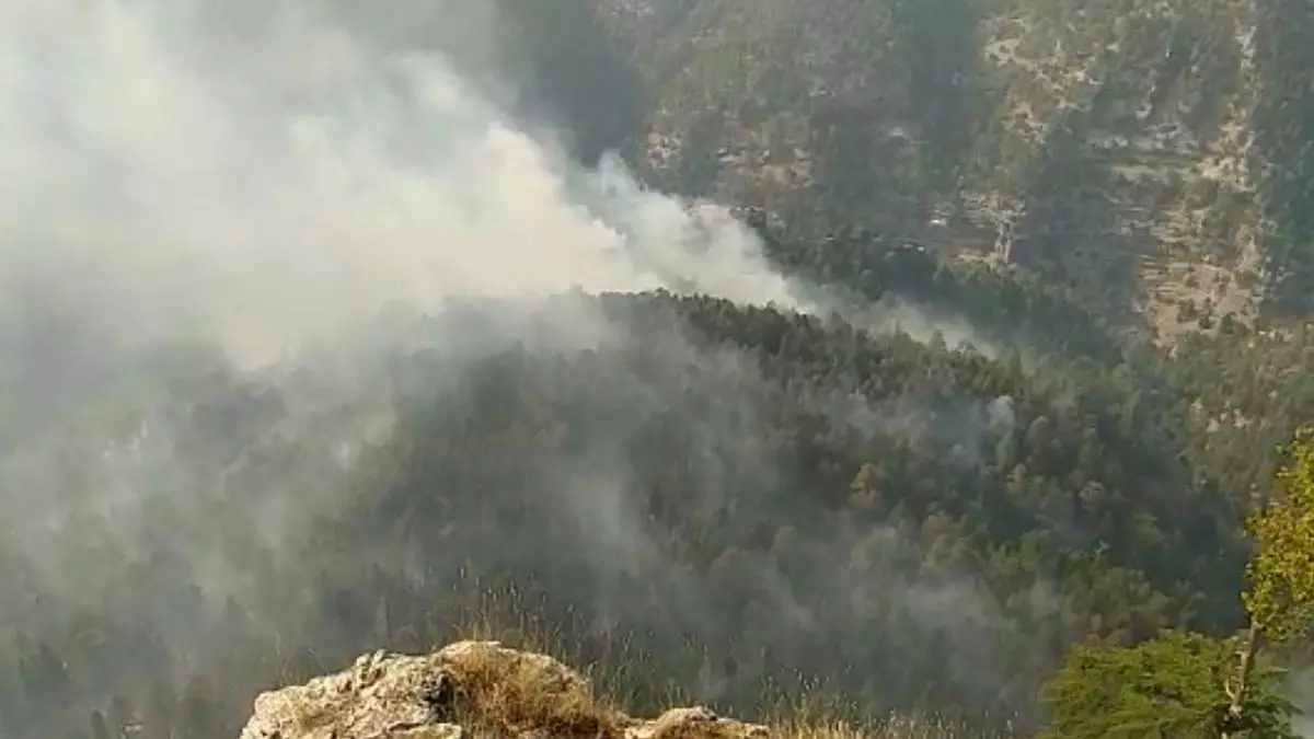 Mersin'deki orman yangınında 15 hektar yandı