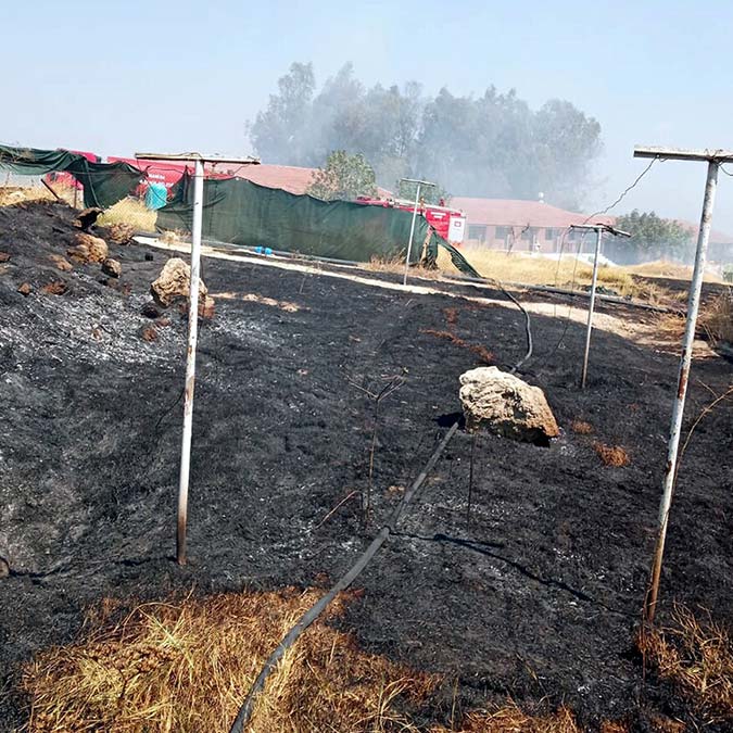 Otlarla kaplı alanda çıkan yangın söndürüldü