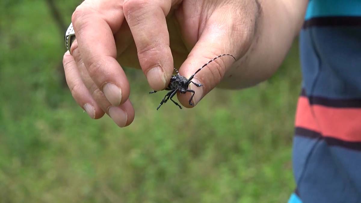 Tropikal hastalıklar için polikliniklerin kurulması gerek
