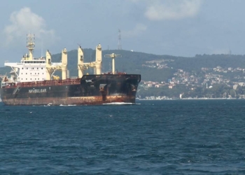 Tahıl gemisi olumsuz hava şartları nedeniyle hareket edemedi