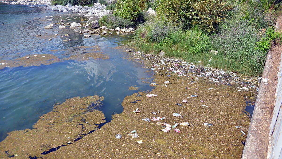 Adana'nın Yüreğir ve Seyhan ilçelerinin sınırlarını belirleyen Seyhan Nehri'ne atılan plastik, metal ve cam çöpler, çevre kirliliğine neden oluyor.