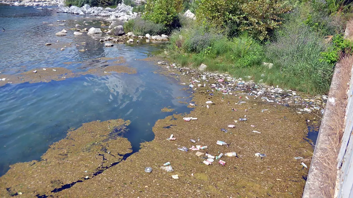 Adana'nın yüreğir ve seyhan ilçelerinin sınırlarını belirleyen seyhan nehri'ne atılan plastik, metal ve cam çöpler, çevre kirliliğine neden oluyor.