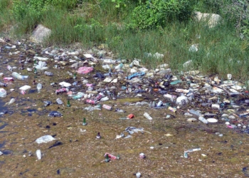 Seyhan Nehri'ne atılan plastikler kirliliğe neden oluyor