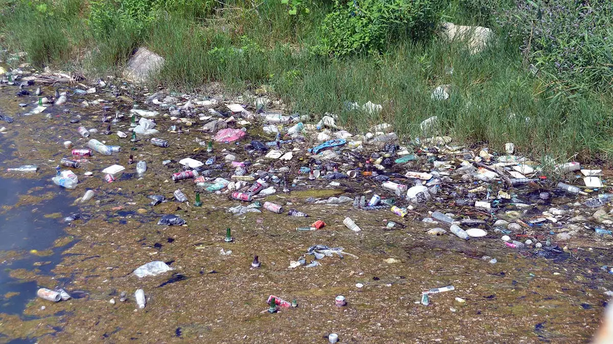 Seyhan nehri'ne atılan plastikler kirliliğe neden oluyor
