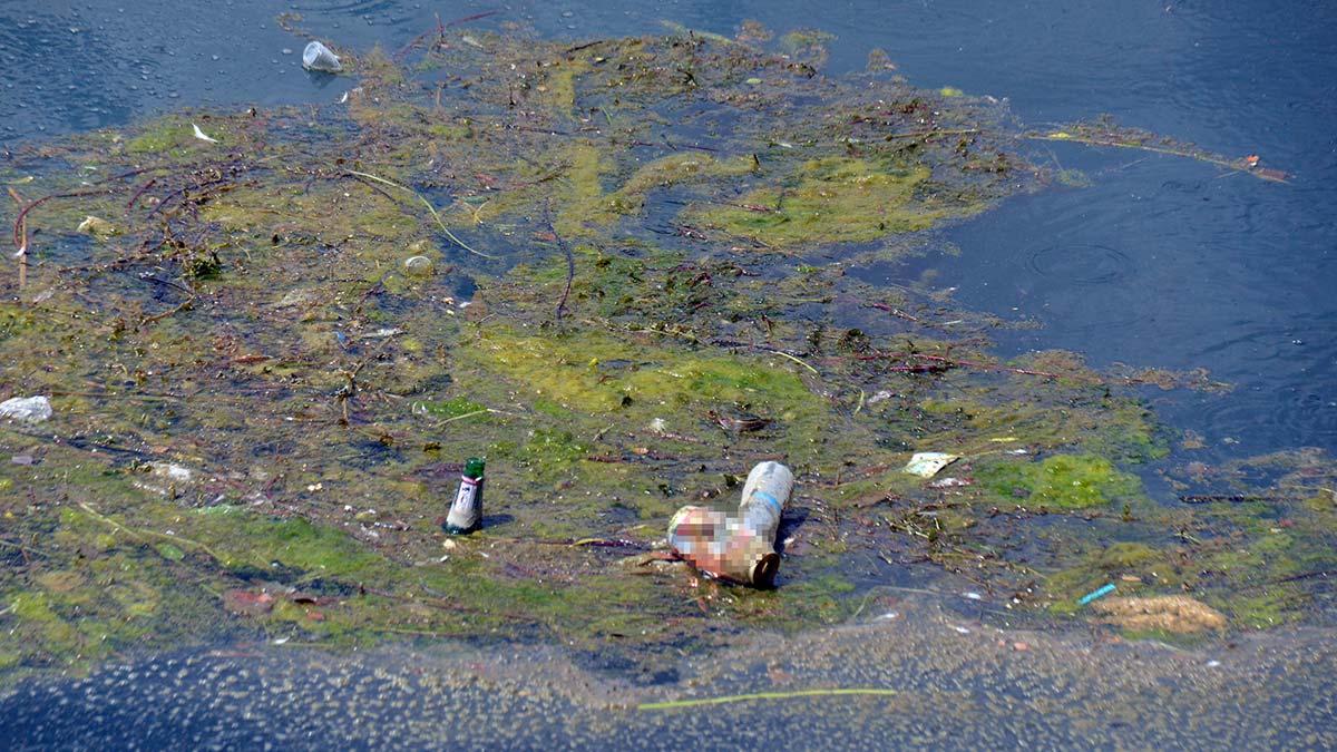 Seyhan Nehri'ne atılan plastikler kirliliğe neden oluyor