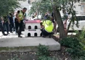Bıçaklı saldırgan iki polisi yaraladı