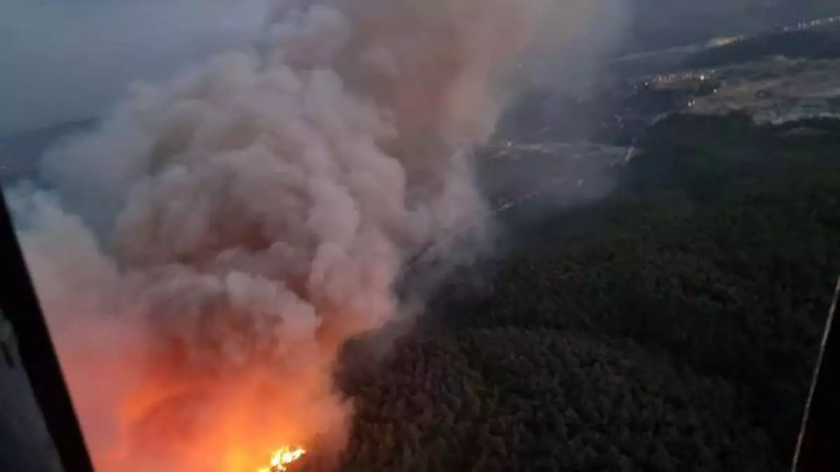 Soma'daki orman yangını 12 saatte söndürüldü