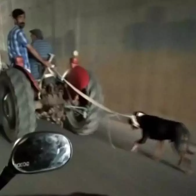 Traktöre bağlanan köpeğe eziyet