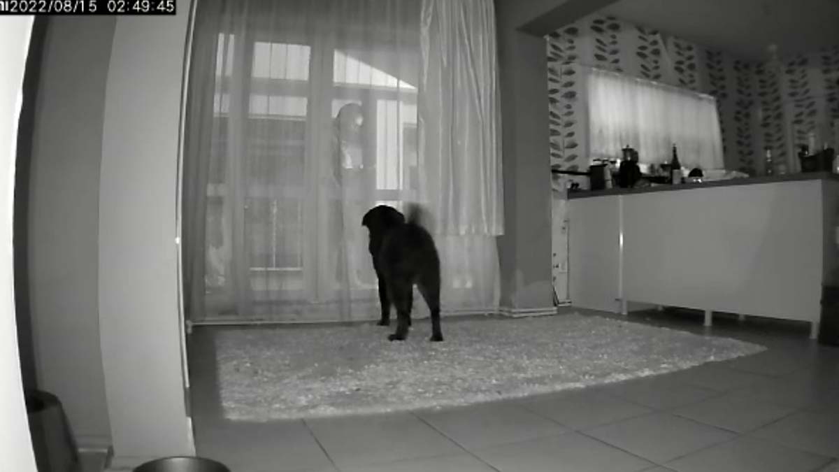 Eli satırlı eski sevgili dehşeti