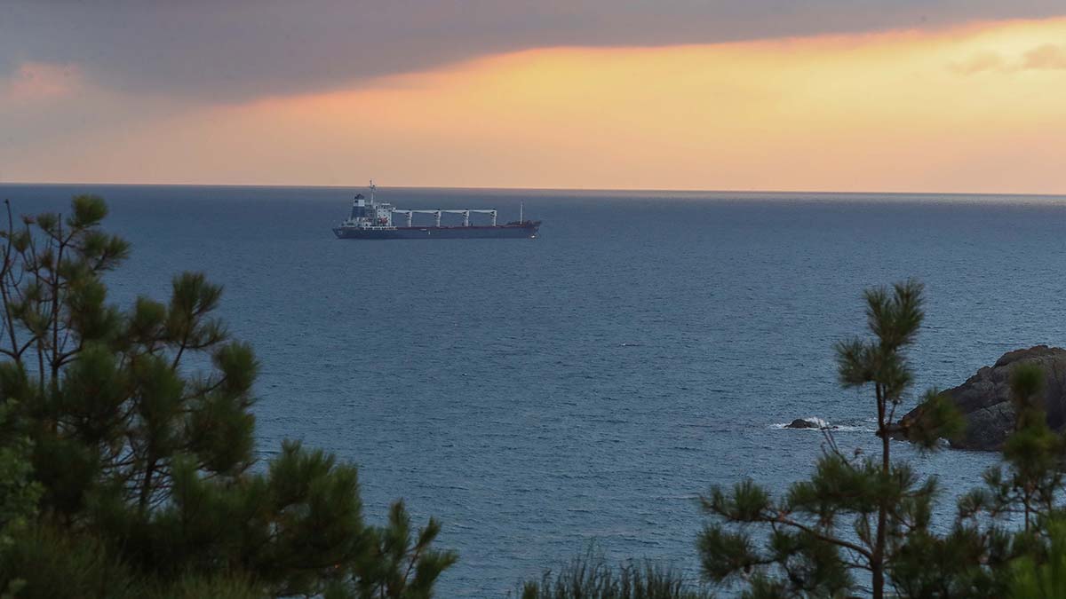 Razoni gemisinde denetim başlıyor