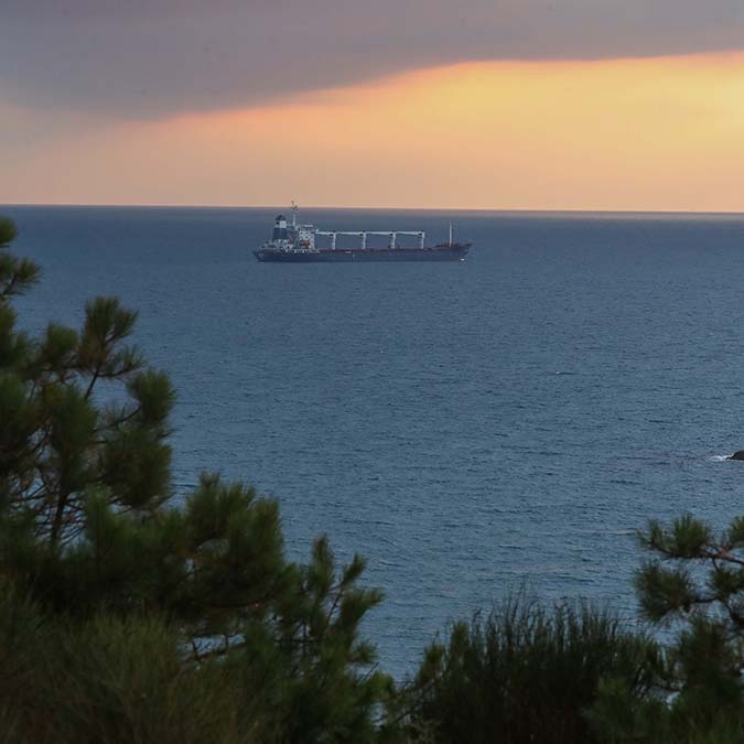 Tahıl yüklü Razoni isimli gemi denetim bekliyor