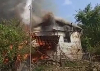 Adana'da ormana yakın evde yangın çıktı