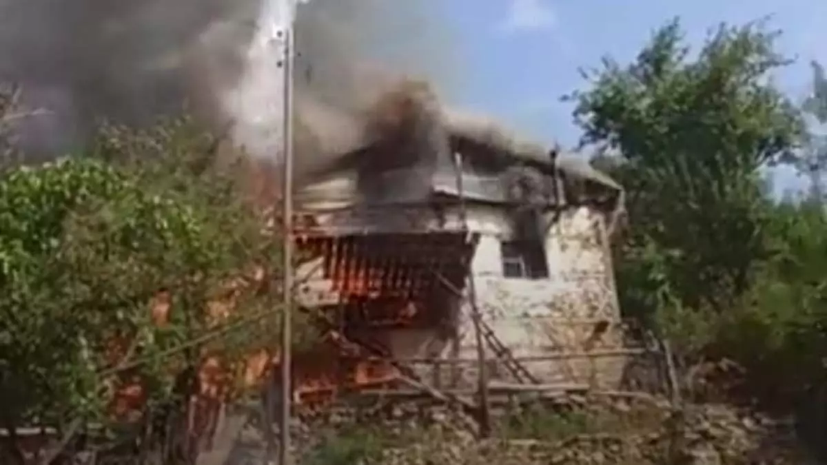 Adana'da ormana yakın evde yangın çıktı