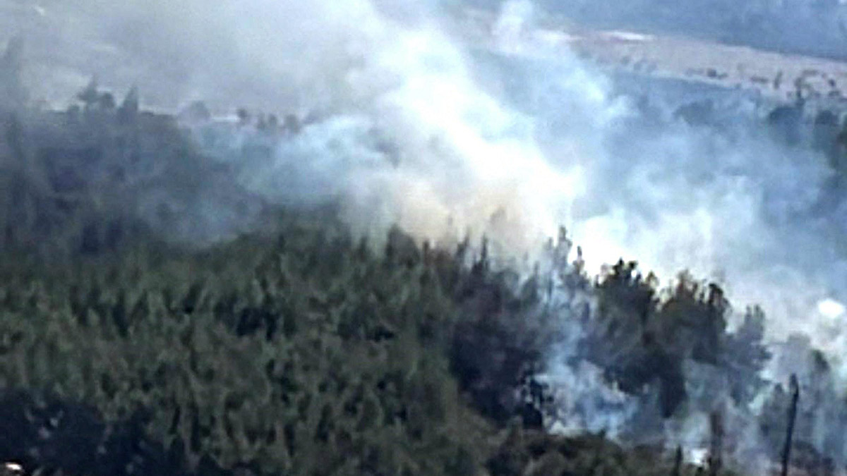 Akhisar'da orman yangını çıktı