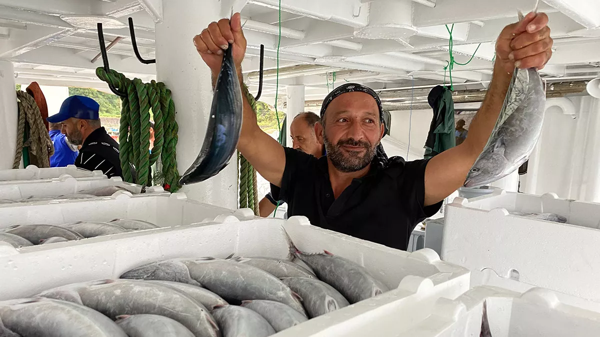 Amasralı balıkçılar, 40 ton palamut avladı