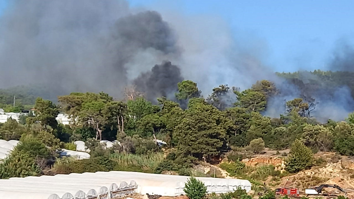 Antalya'nın Kumluca ilçesinde orman yangını