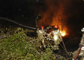 Arnavutköy'de ormanlık alanda yangın