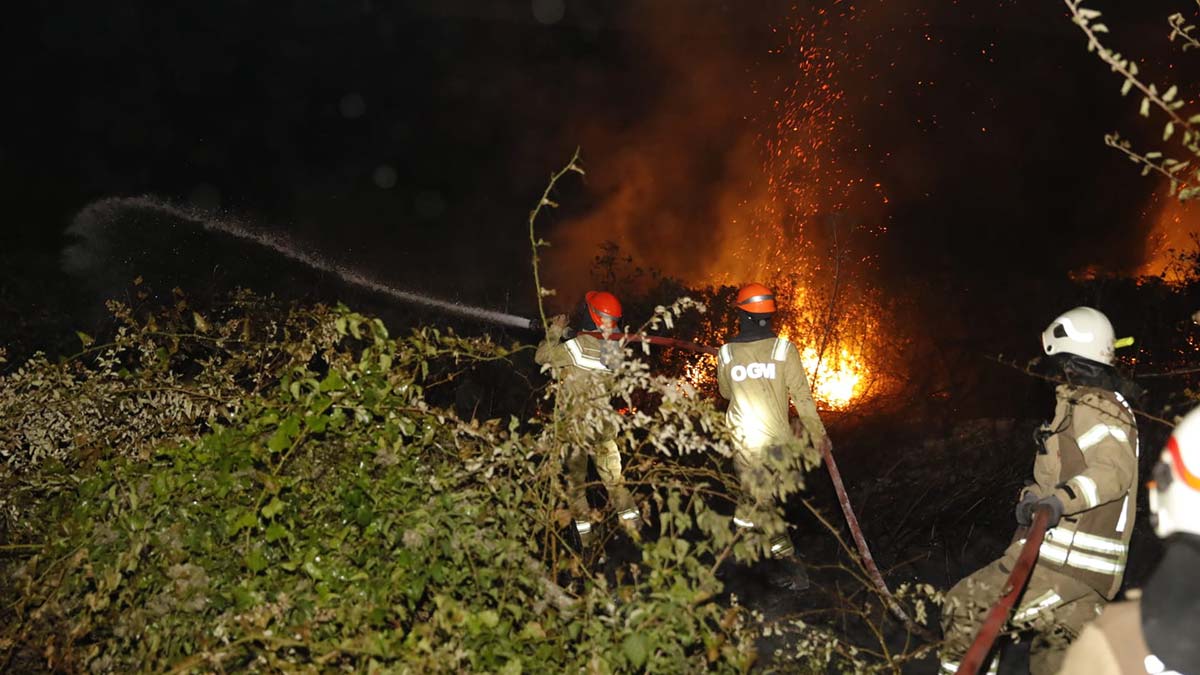 Arnavutköy'de ormanlık alanda yangın