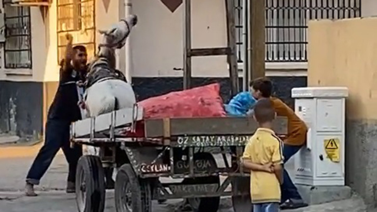 Atı yumruklayan seyyar satıcı yakalandı