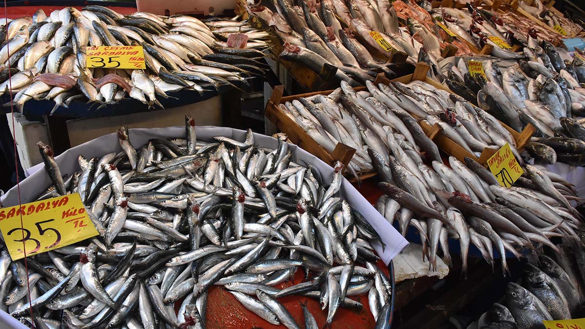 Av yasağı kalktı, balık fiyatları yarıya düştü