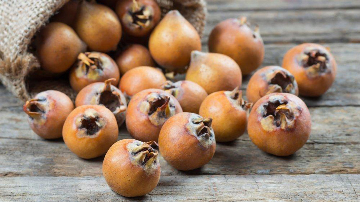 Binbir derde deva 'Muşmula çayı'