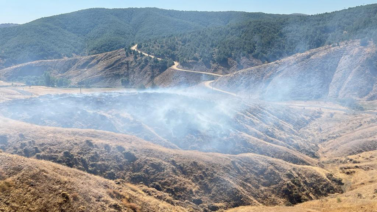 Bingöl'de çıkan örtü yangını söndürüldü