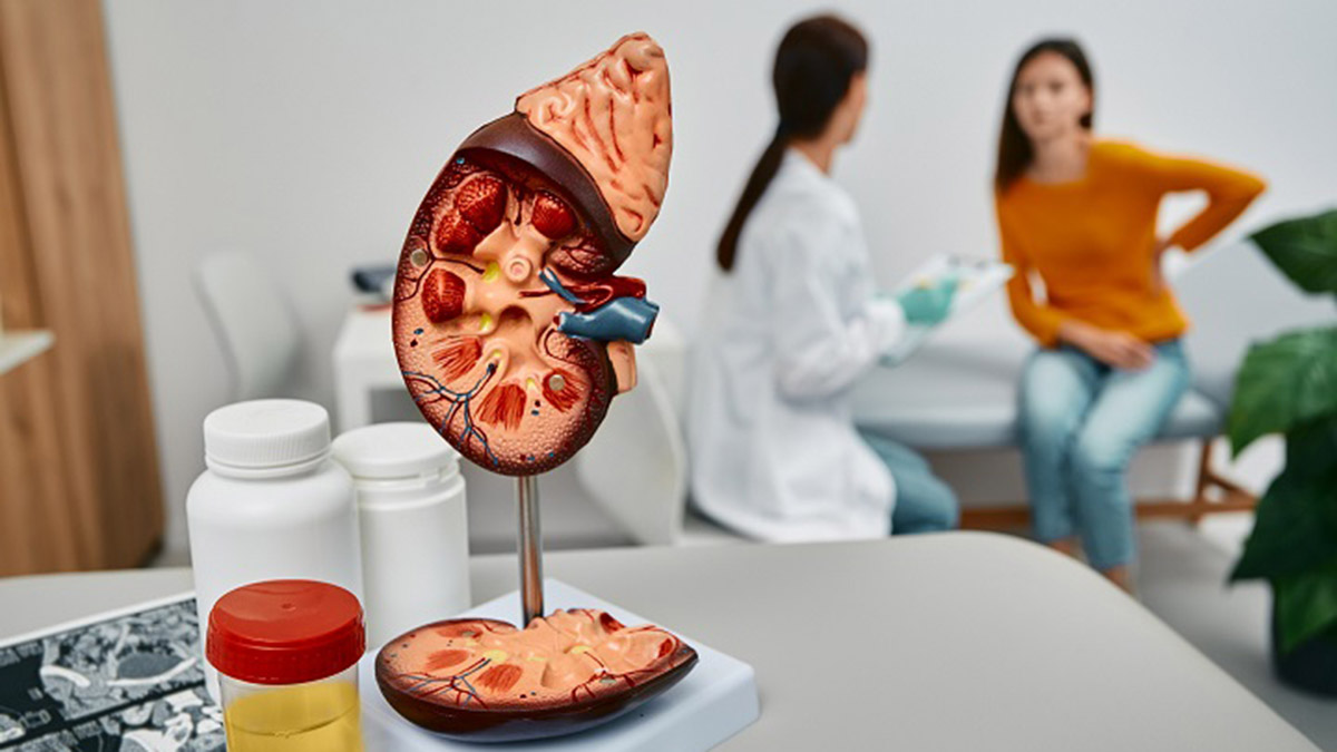 Böbrek tümöründe erken tanı hayat kurtarıyor