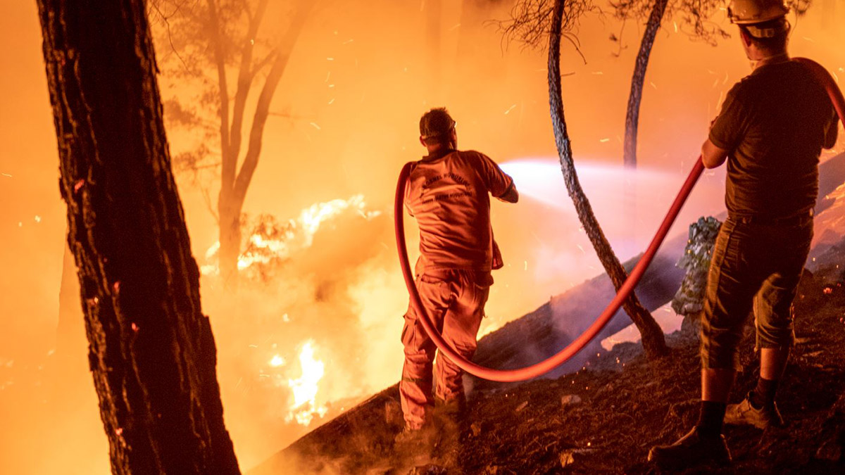 Büyük orman yangınlarında yeşile dönüş sürüyor