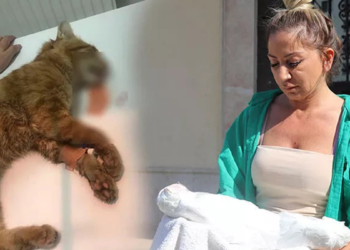 Çamaşır suyu ile kedi ölümüne inceleme
