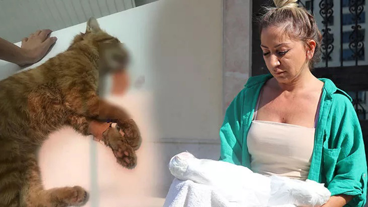 Çamaşır suyu ile kedi ölümüne inceleme