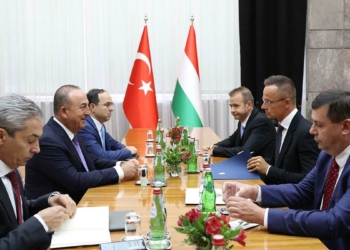 Çavuşoğlu Macar ve Sırp mevkidaşlarıyla görüştü