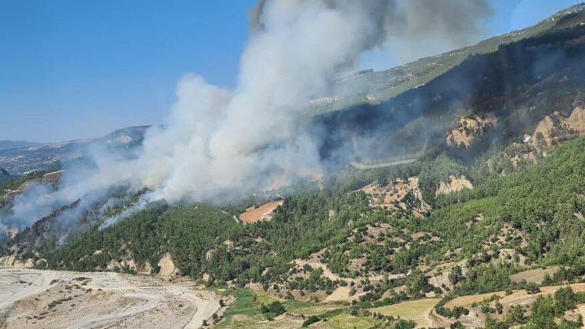 Denizli'de orman yangını çıktı