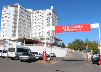 Diyarbakır'da annesini pompalı tüfekle vurdu