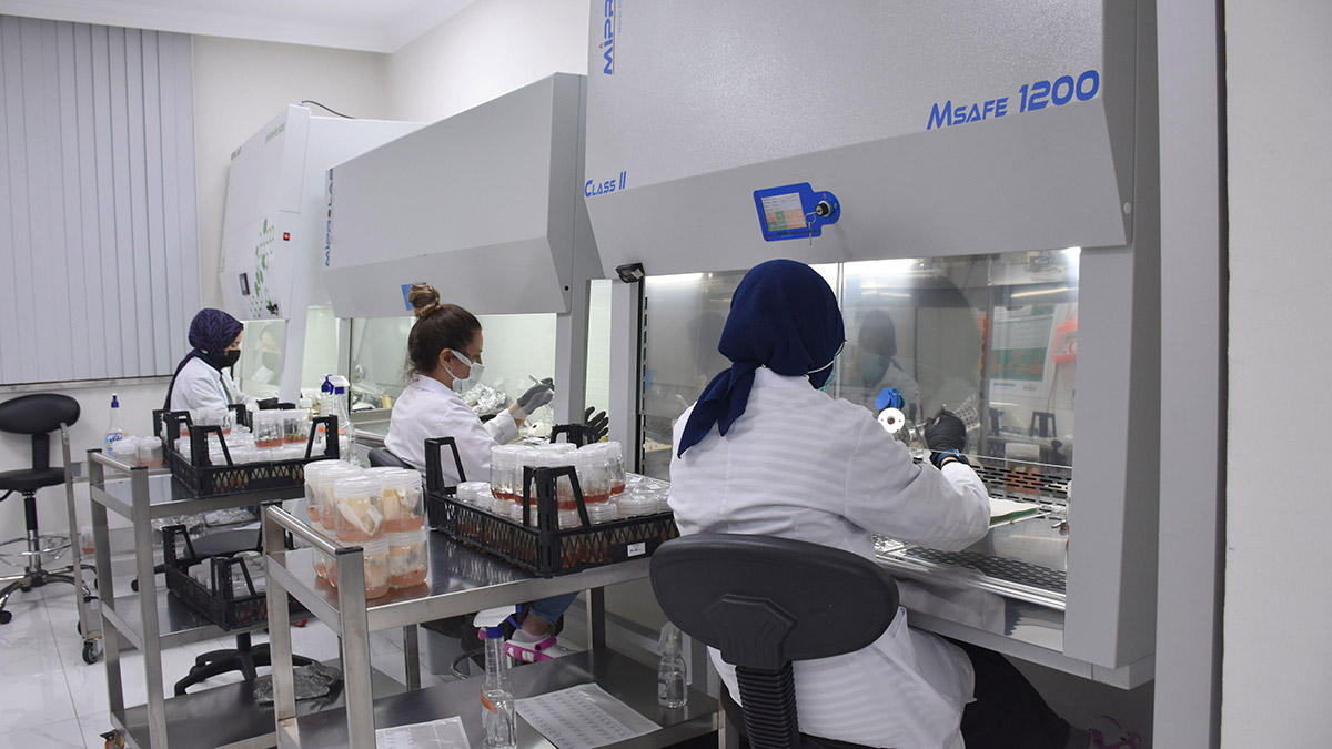 'Doku Kültürü Laboratuvarı' seri üretime başladı