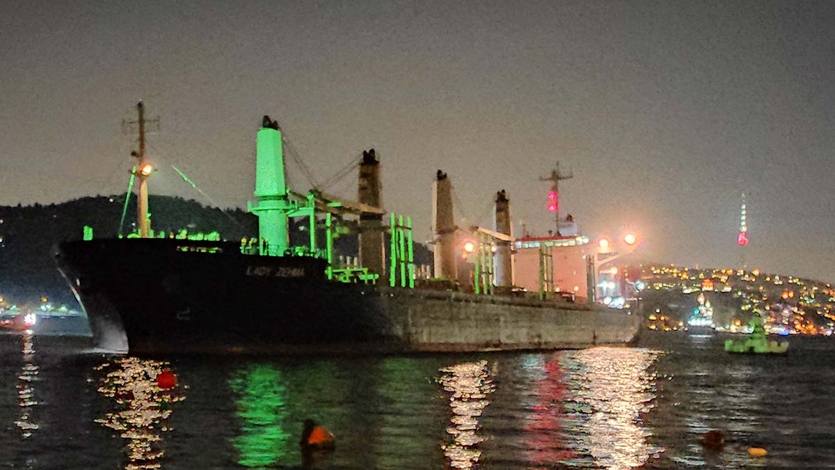Dümeni kilitlenen kargo gemisi karaya oturdu