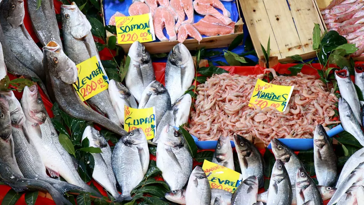 Edirne'de balıkçılardaki fiyatlar pahalı bulundu