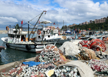 'Ekim ayı ucuz balıkla geçecek'