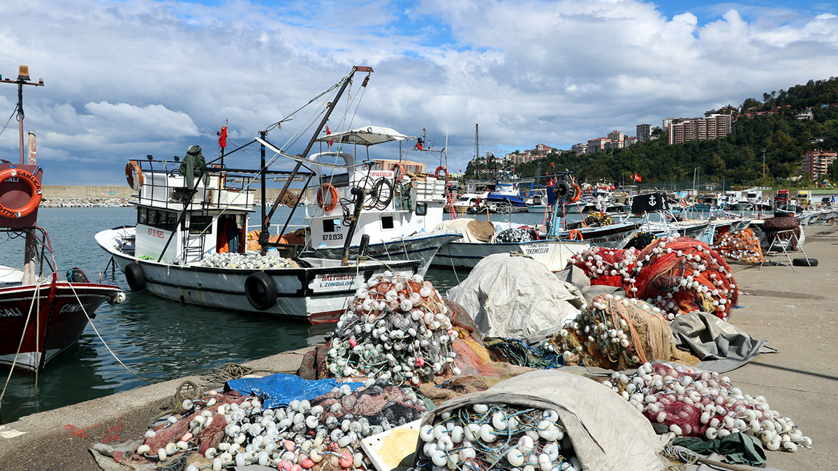 'Ekim ayı ucuz balıkla geçecek'