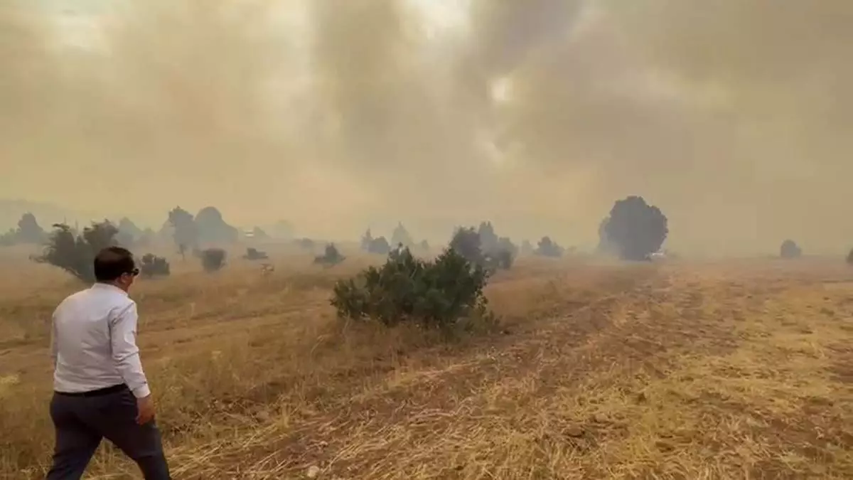 Erzincanda orman yangini 1 - öne çıkan - haberton