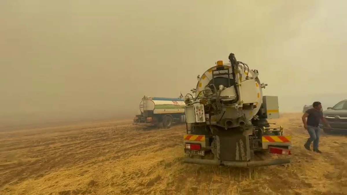 Erzincan'da orman yangını