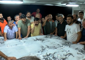 Gürpınar Balık Hali'nde ilk mezatlar gerçekleşti