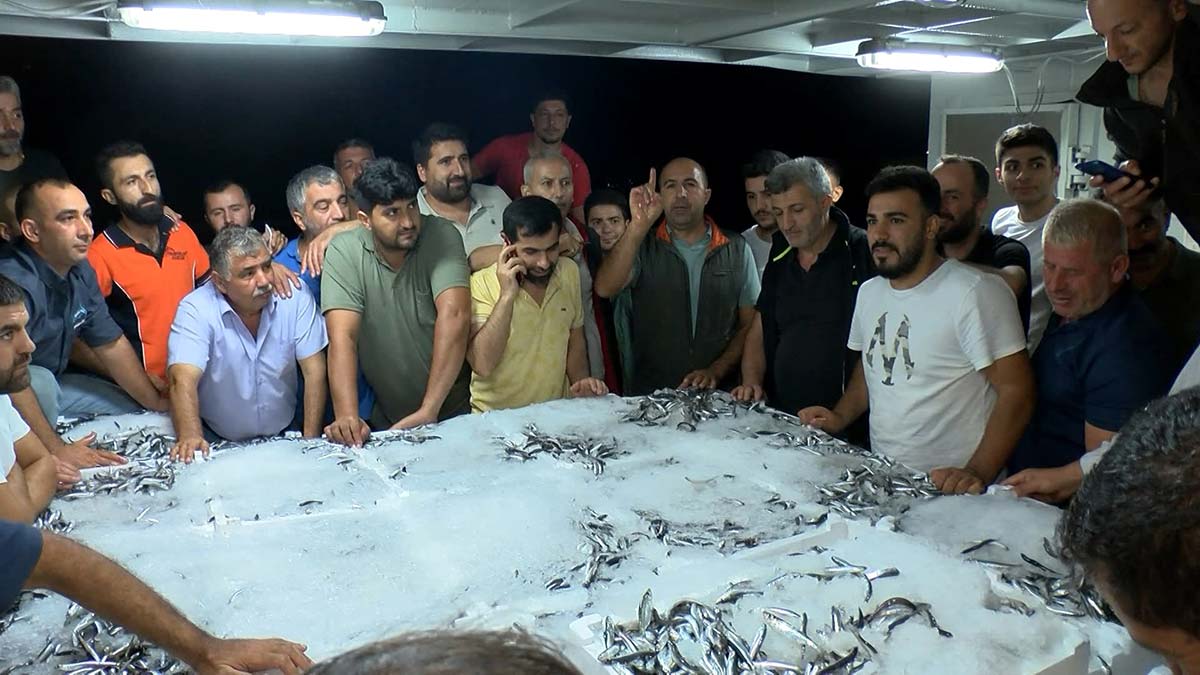 Gürpınar Balık Hali'nde ilk mezatlar gerçekleşti 