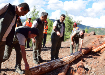 Hatay ormanlarında 'gevşetme zonu' uygulaması