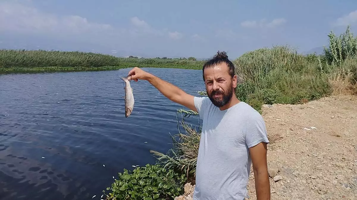 Hatayda asi nehrinde toplu balik olumleri 1 - yerel haberler - haberton