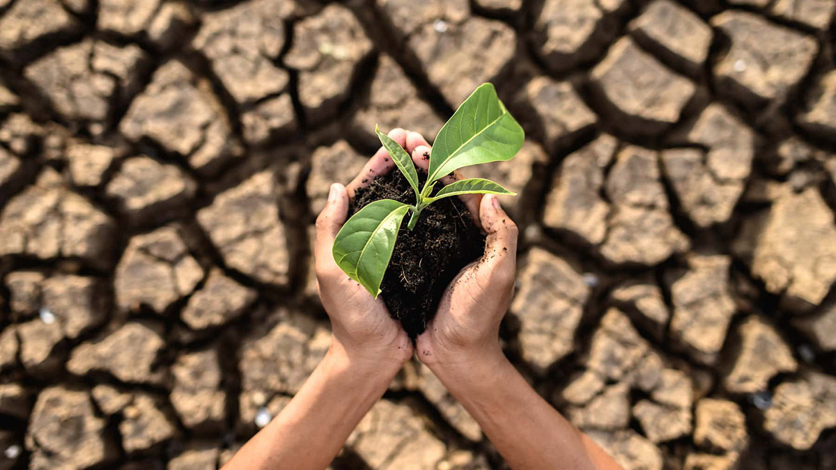 İklim değişikliği gıda ve tarımı tehdit ediyor